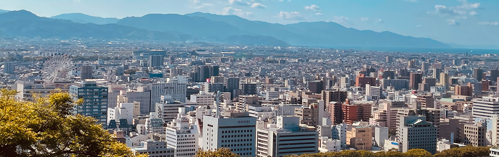 看板の制作・取付・撤去・リフォームは愛媛県松山市のイヨカンバンにご相談ください