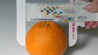 農業 ⁄ 漁業 ⁄ 林業 ⁄ 水産業の施工事例