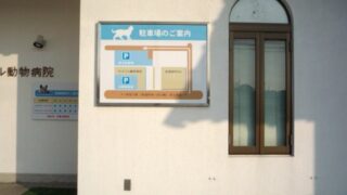 動物病院 ⁄ ペットショップの施工事例