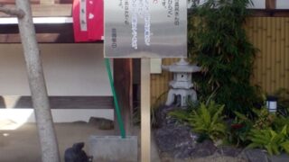 神社 ⁄ お寺の施工事例