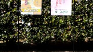 その他の施工事例